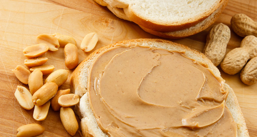 peanut butter sandwich