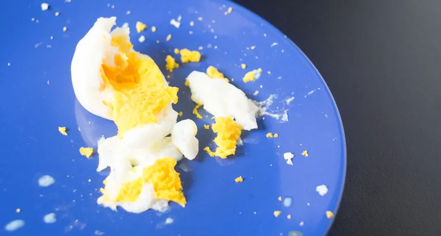 exploded egg