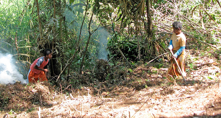 Southeast Asian hunter-gatherers