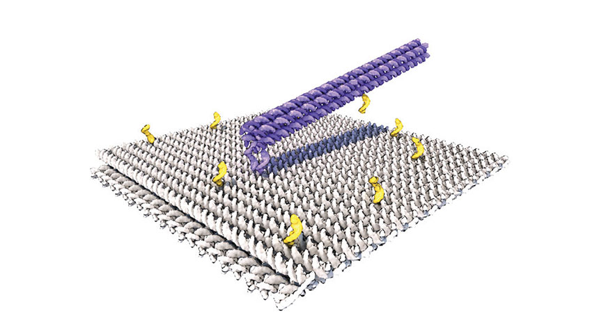 DNA robot illustration