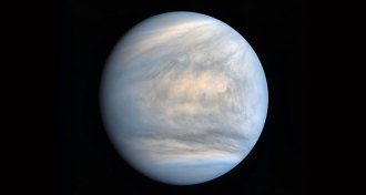 Venus