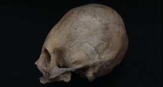 skull