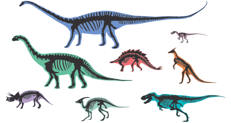 dinosaur skeletons