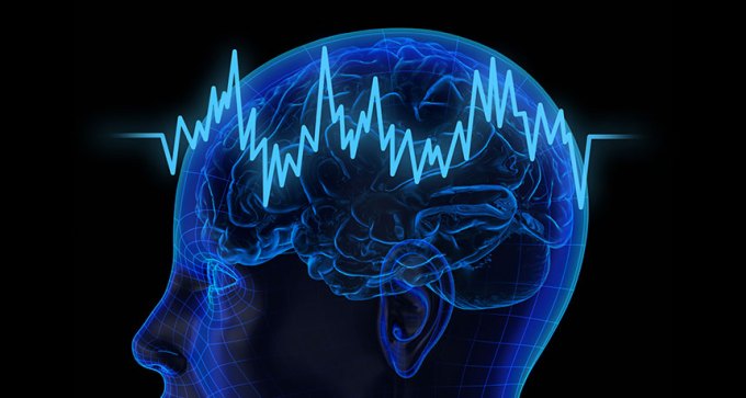 brain wave illustration