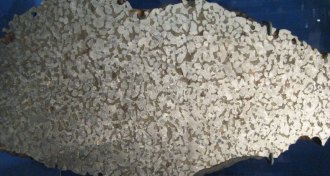 meteorite