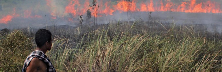 peatland fire in Indonesia