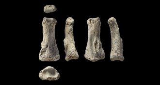 Finger fossil