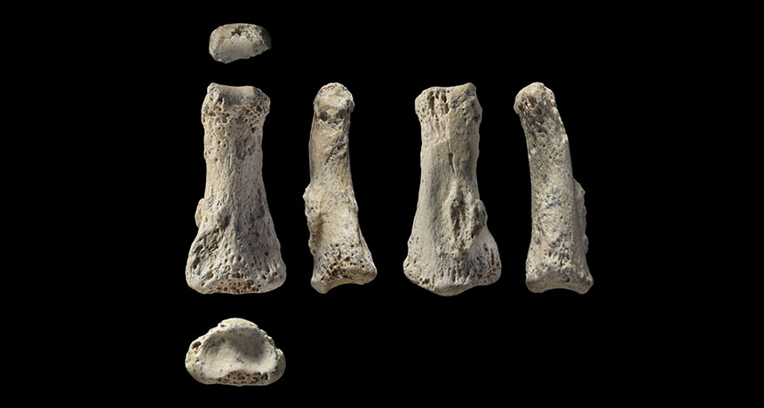 Finger fossil