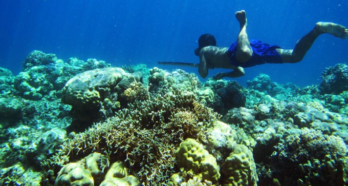 Bajau diver spear fishing