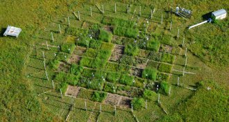 field experiment of CO2 levels