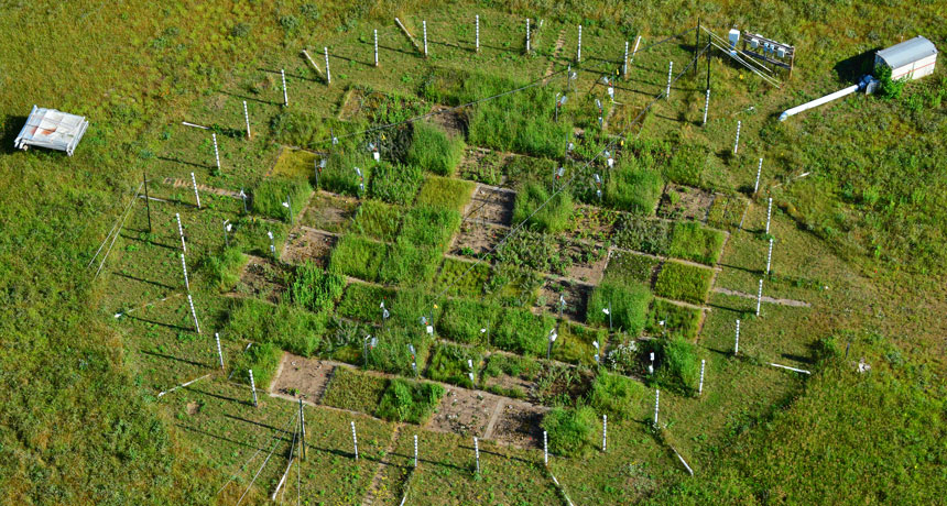 field experiment of CO2 levels