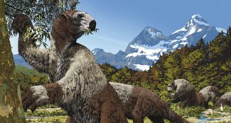 giant ground sloths, Megatherium