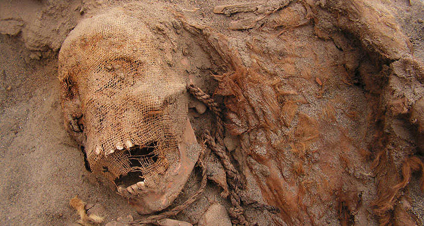 fossilized child in Peru mass sacrifice site
