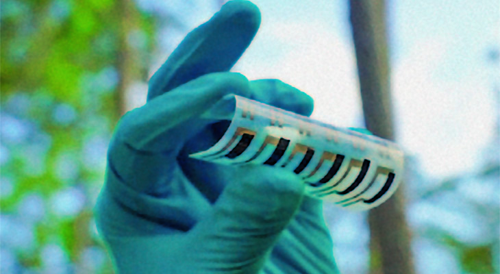 flexible motion detectors