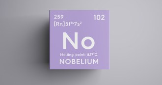 Nobelium element abbreviation