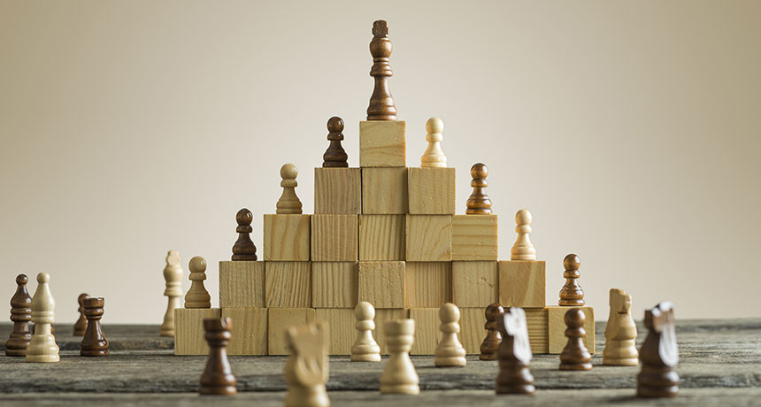 photo illustration of chess hierarchy