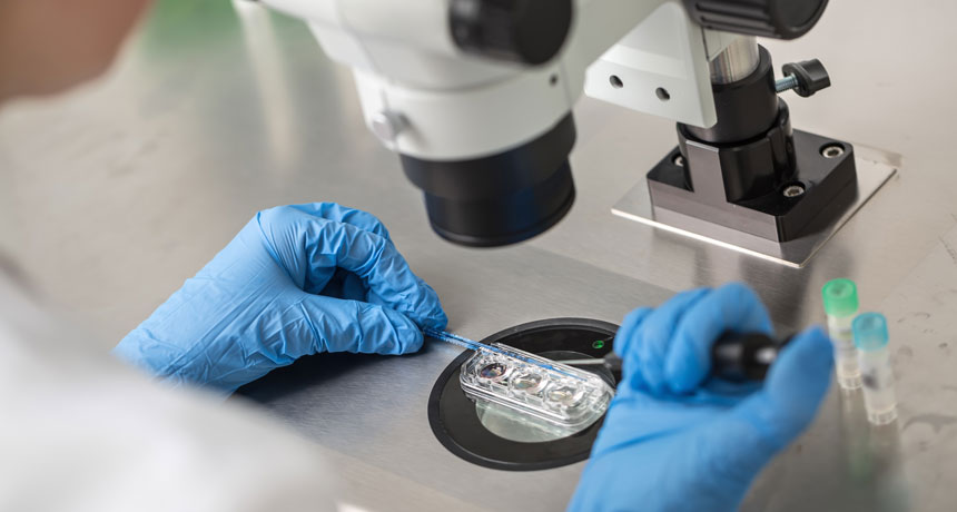 in vitro fertilization