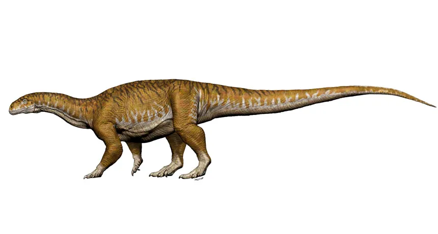giant long-necked sauropod