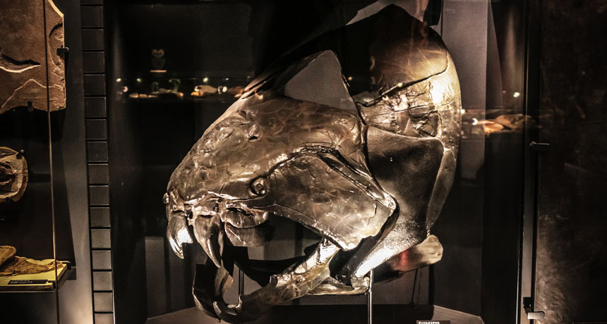 Dunkleosteus