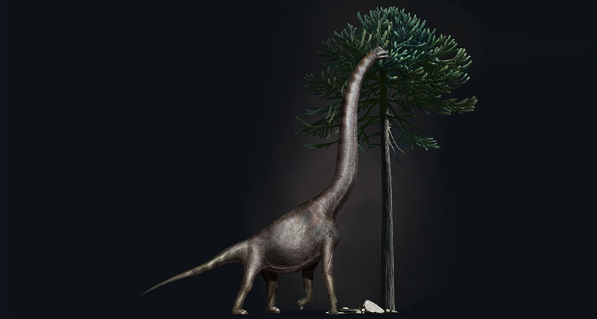 brachiosaur