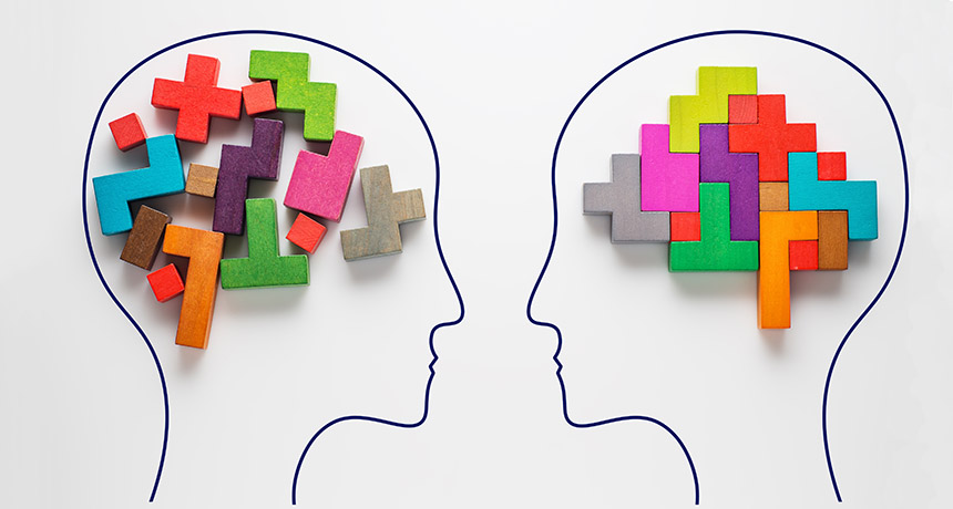 illustration of two brains