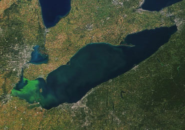toxic cyanobacteria bloom in Lake Erie
