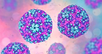 an illustration of coxsackieviruses