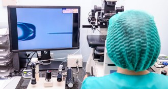 IVF procedures