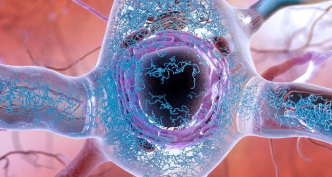 tau tangles in a nerve cell illustration