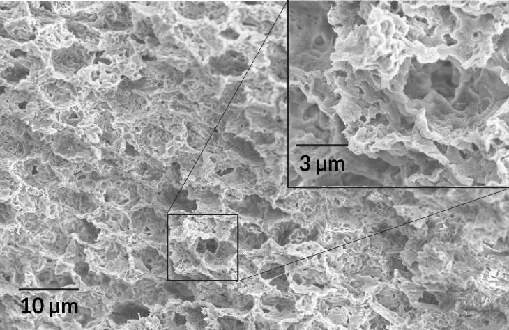 a microscopic image of the polymer paint