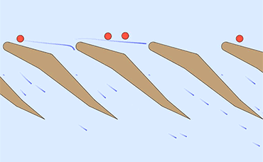 an animation showing how plankton keeps from clogging a manta ray's mouth filter