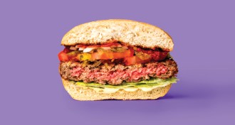 impossible burger
