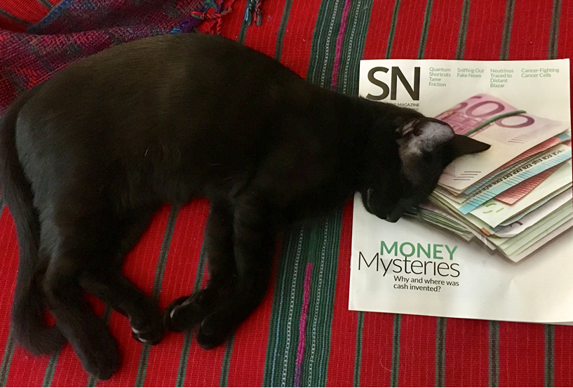 A black cat, Z, using the August 4, 2108 issue as a pillow.