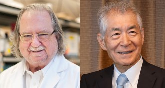 James Allison and Tasuku Honjo