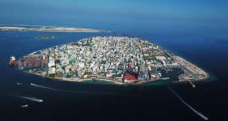 island nation of Maldives
