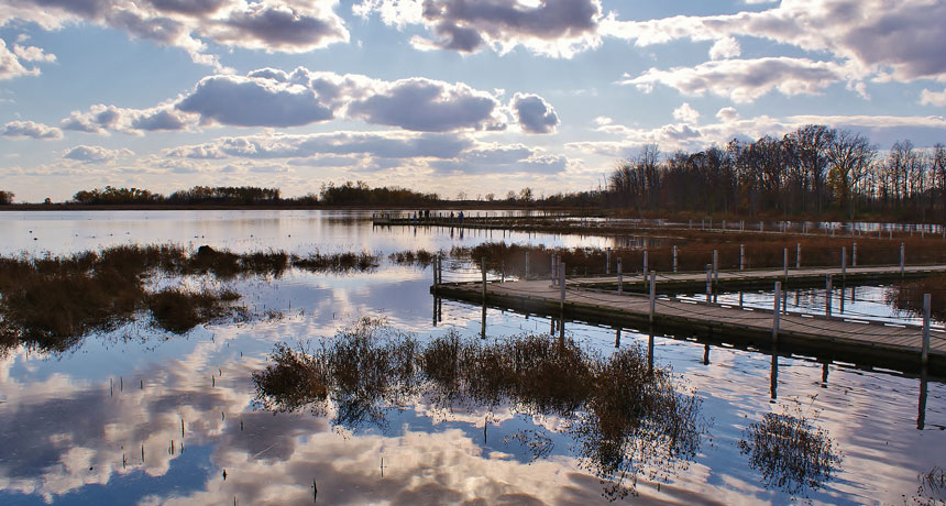 Horicon Marsh in Wisconsin