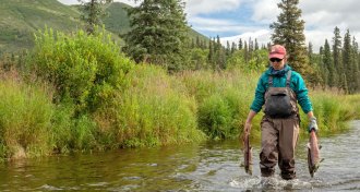 researcher holding sockeye salmon