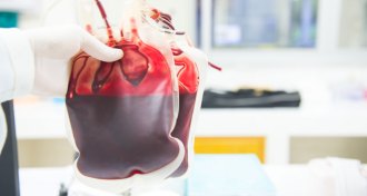 blood bags