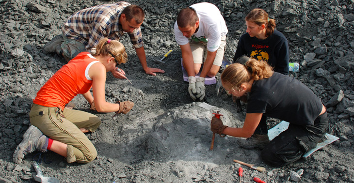 a photo of field researchers excavating the skeleton of Lisowicia bojani