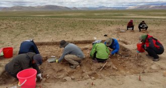 Tibetan Plateau site excavation