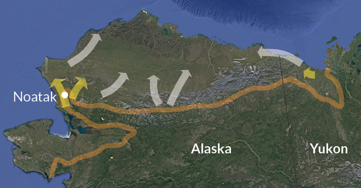 a map showing northward movement of beavers in Alaska
