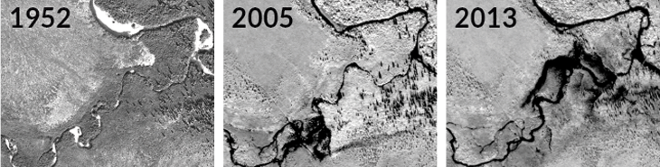 satellite images from 1952, 2005 and 2013 showing how beavers have dammed a stream to make ponds