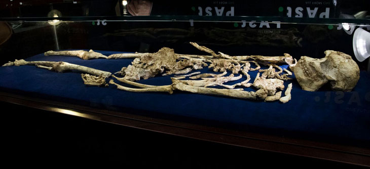 Little Foot skeleton