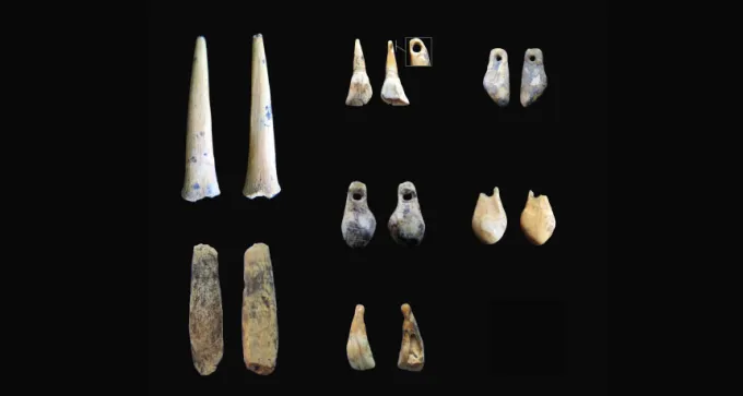 bone points and animal teeth