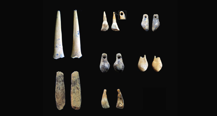 bone points and animal teeth