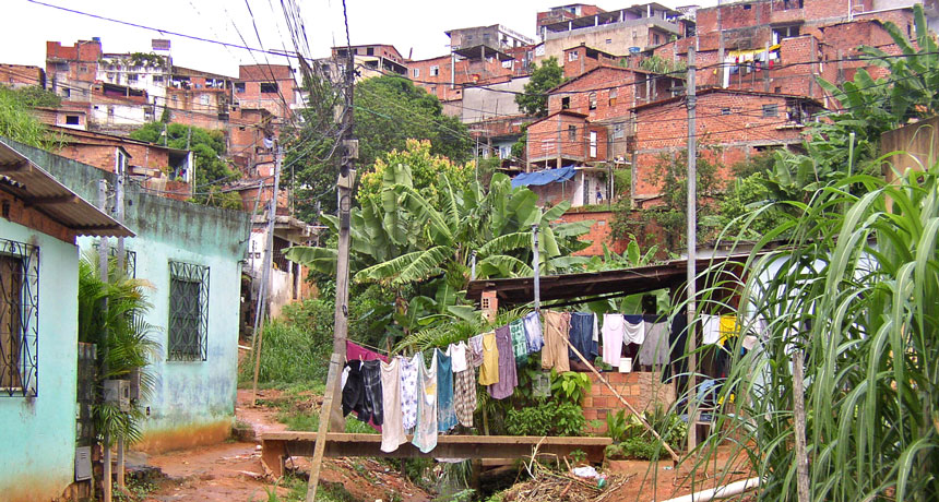 Pau da Lima neighborhood