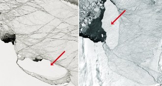 larsen c and iceberg A68