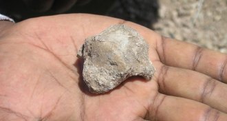 Ardipithecus ramidus ankle bone