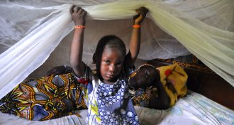 kids with mosquito bed nets
