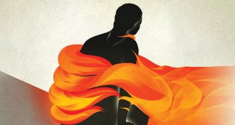 shingles illustration